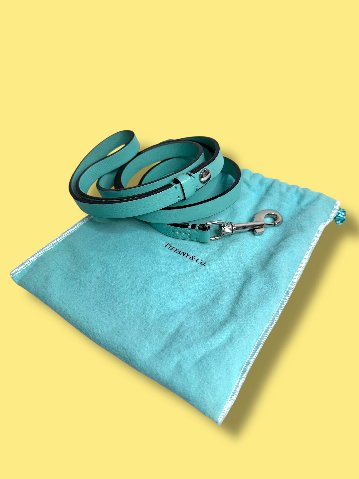 $450 srp J442 TIFFANY & Co Leather Dog Leash