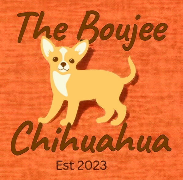 The Boujee Chihuahua