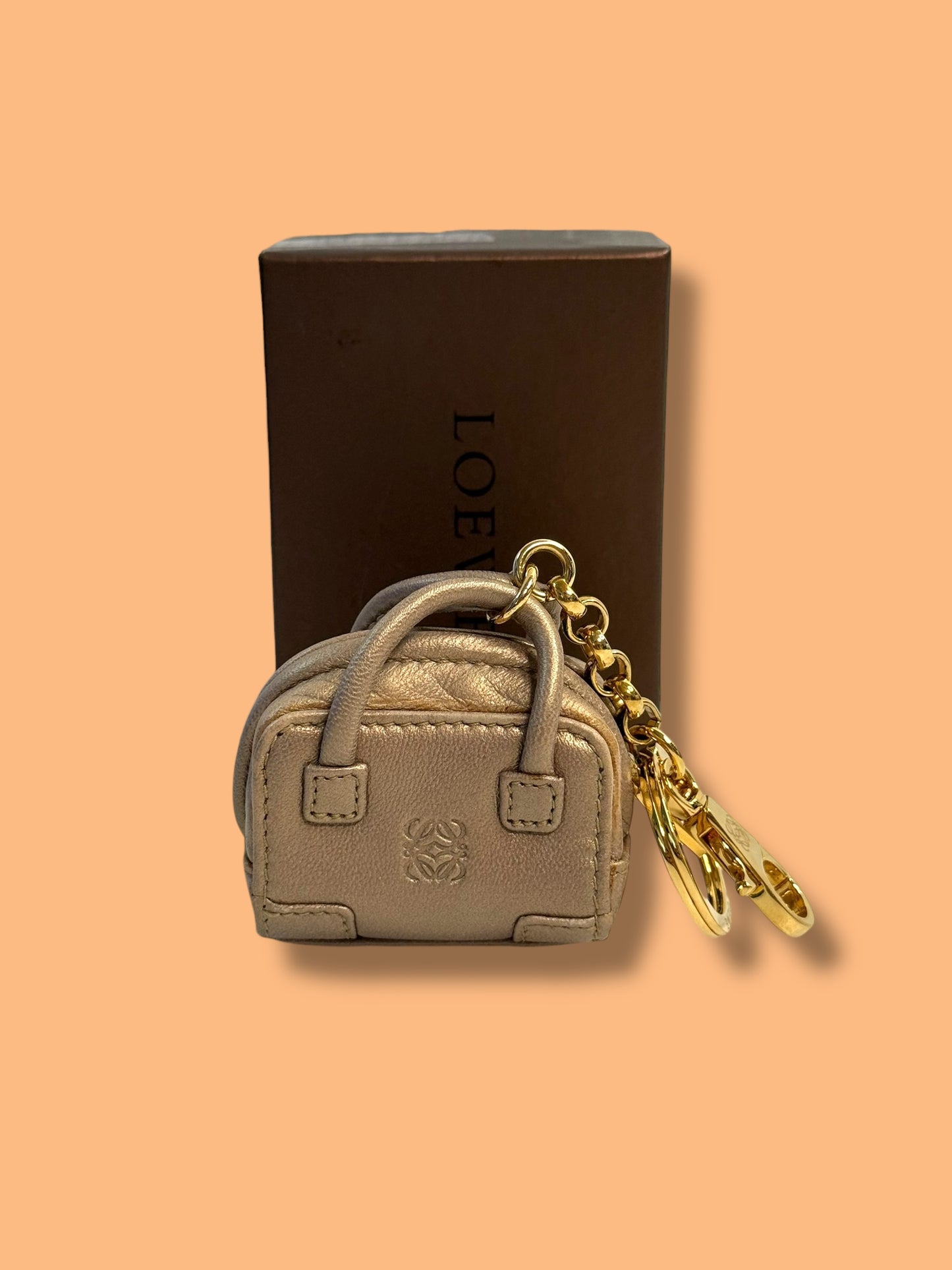 J480 LOEWE Micro Amazona Bag Charm with Box