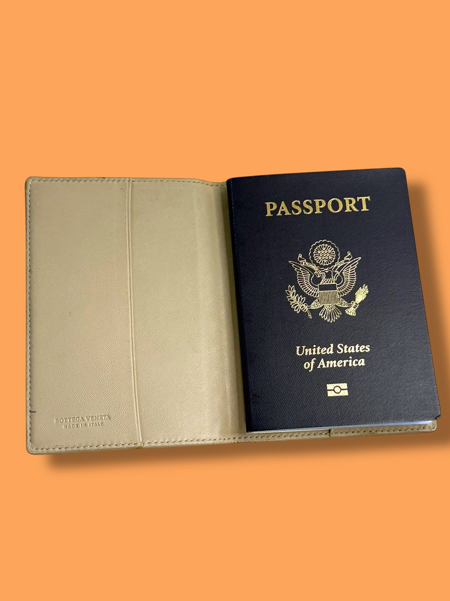 W143 BOTTEGA Passport Case