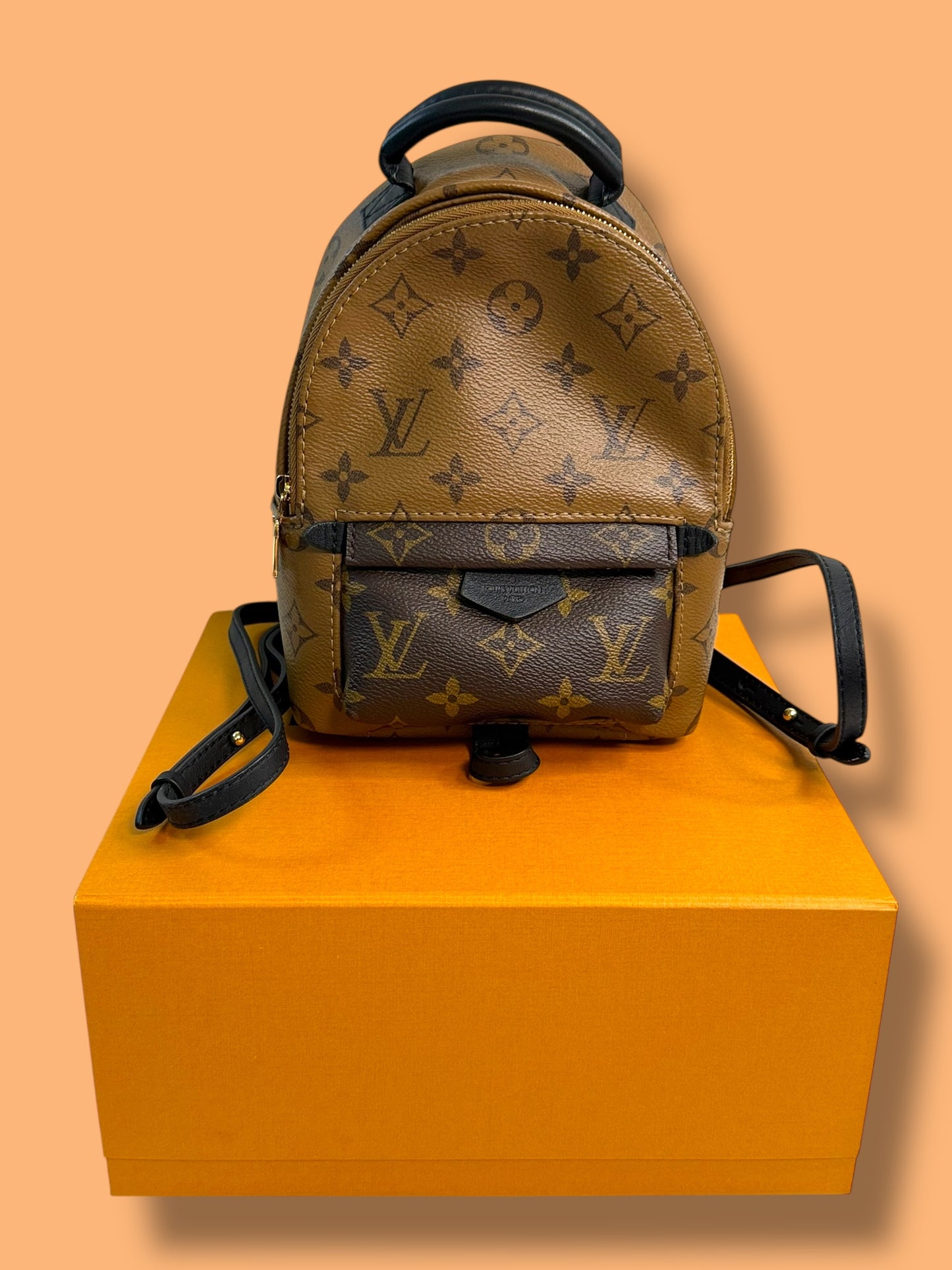 $2770 srp TBC255 LOUIS VUITTON Mini Reverse Palm Spring Mini Backpack FL4230 / CHIP